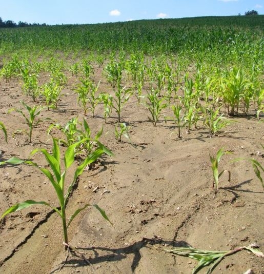 Ekorada na květen: Chraňte půdu