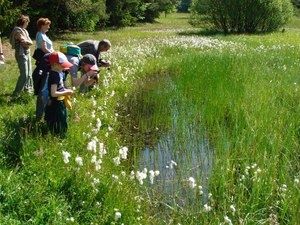 Zveme na vycházku na Malý Blaník a Podlesí