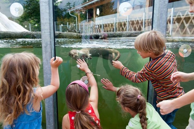 Parazoo otevřena i ve státní svátek