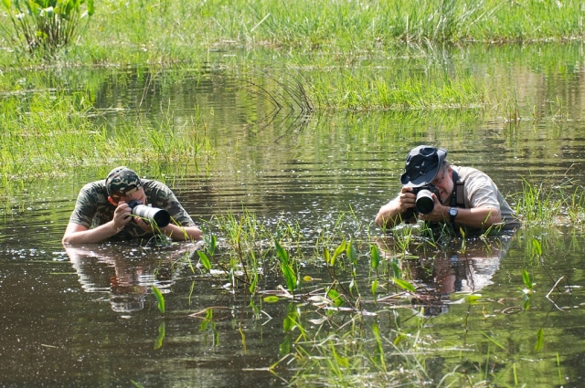 17. celostátní setkání odonatologů